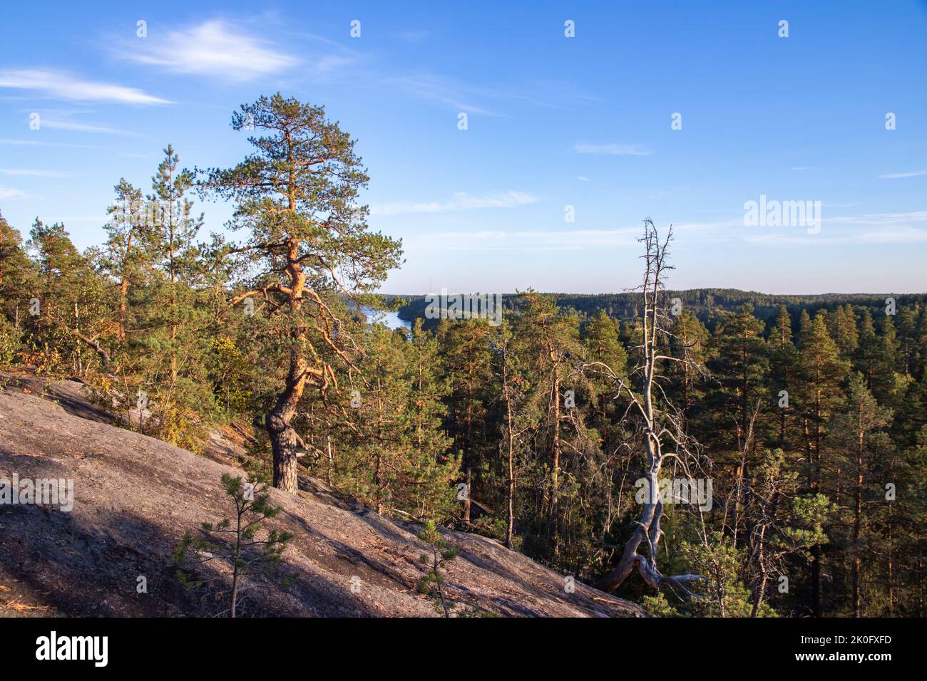 Natural landscape in Nuuksio national park in Finland Stock Photo