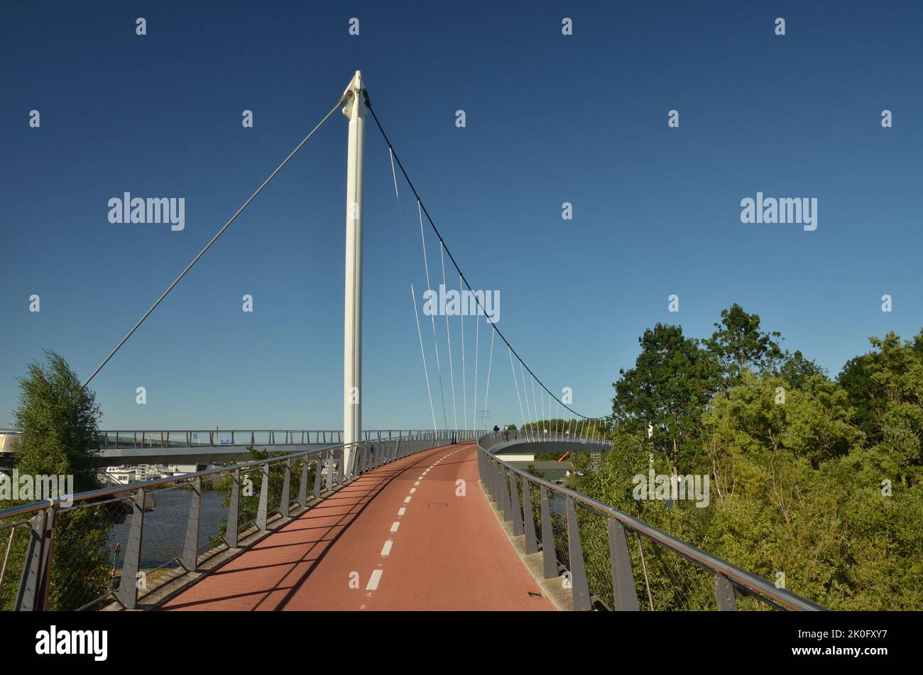 A purpose-built cable stayed cycle bridge, near Amsterdam, Netherlands Stock Photo