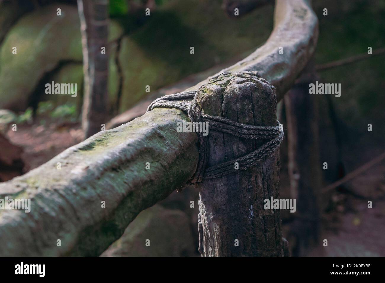 Ancient wooden fence built by tribes in the jungle Stock Photo - Alamy