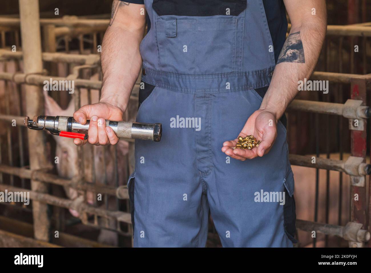 Farm worker holding a gun for humane killing of animals Stock Photo