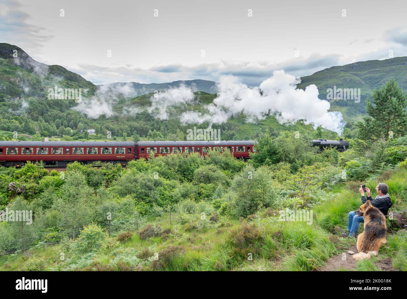 Glenfinnan,Inverness-shire,Scottish Highlands-July 21 2022:A man with his dog photographs the iconic tourist train as it whistles by,letting o off ste Stock Photo