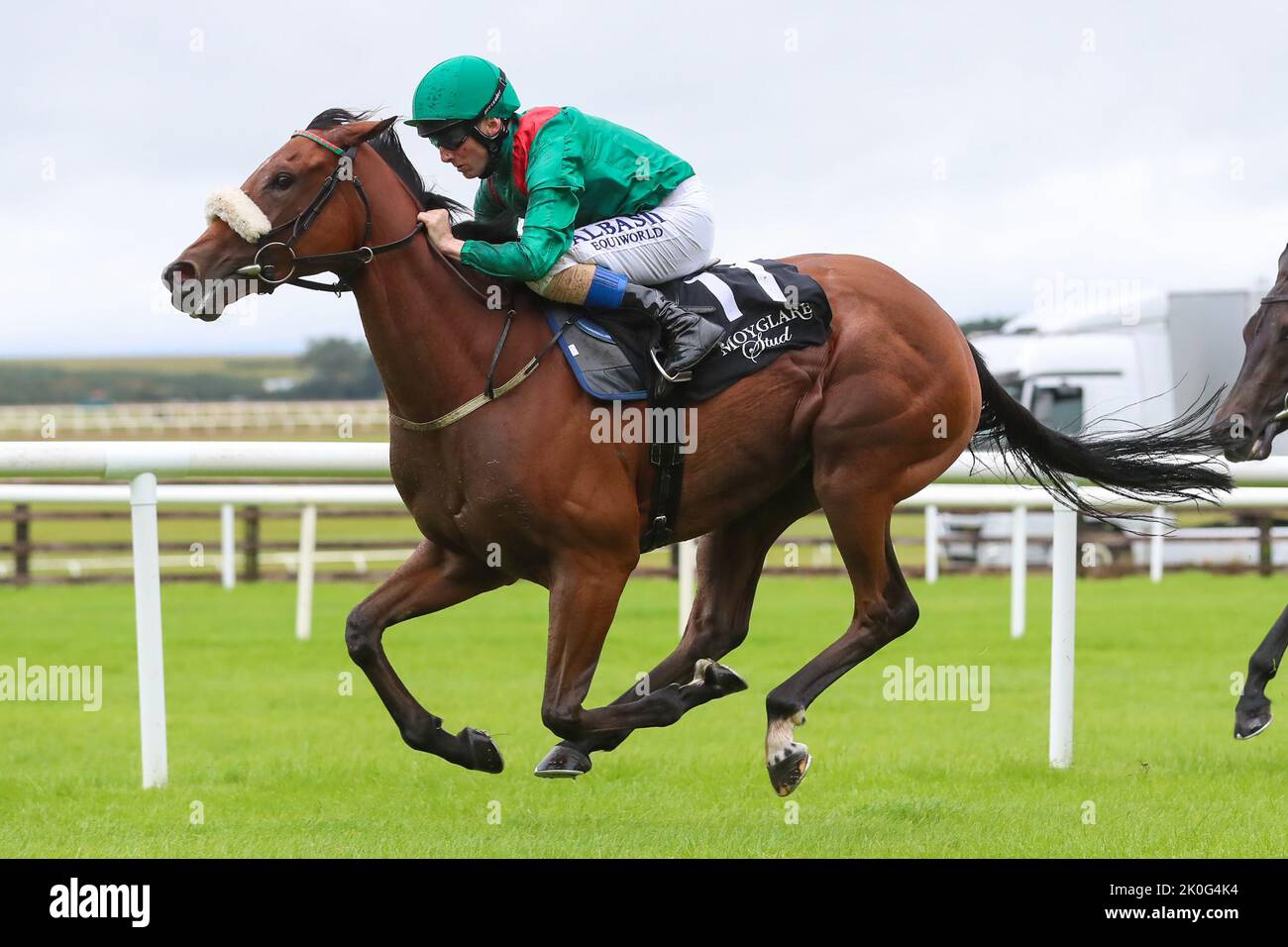 September 11, 2022, Kildare, USA: September 11, 2022: Tahiyra #11 ridden by Chris Hayes wins the Moyglare Stud Stakes (Group 1) on Irish Champions Weekend at The Curragh in Kildare, Ireland on September 11th, 2022. (Photo by Shamela Hanley/Eclipse Sportswire/CSM/Sipa USA) Stock Photo