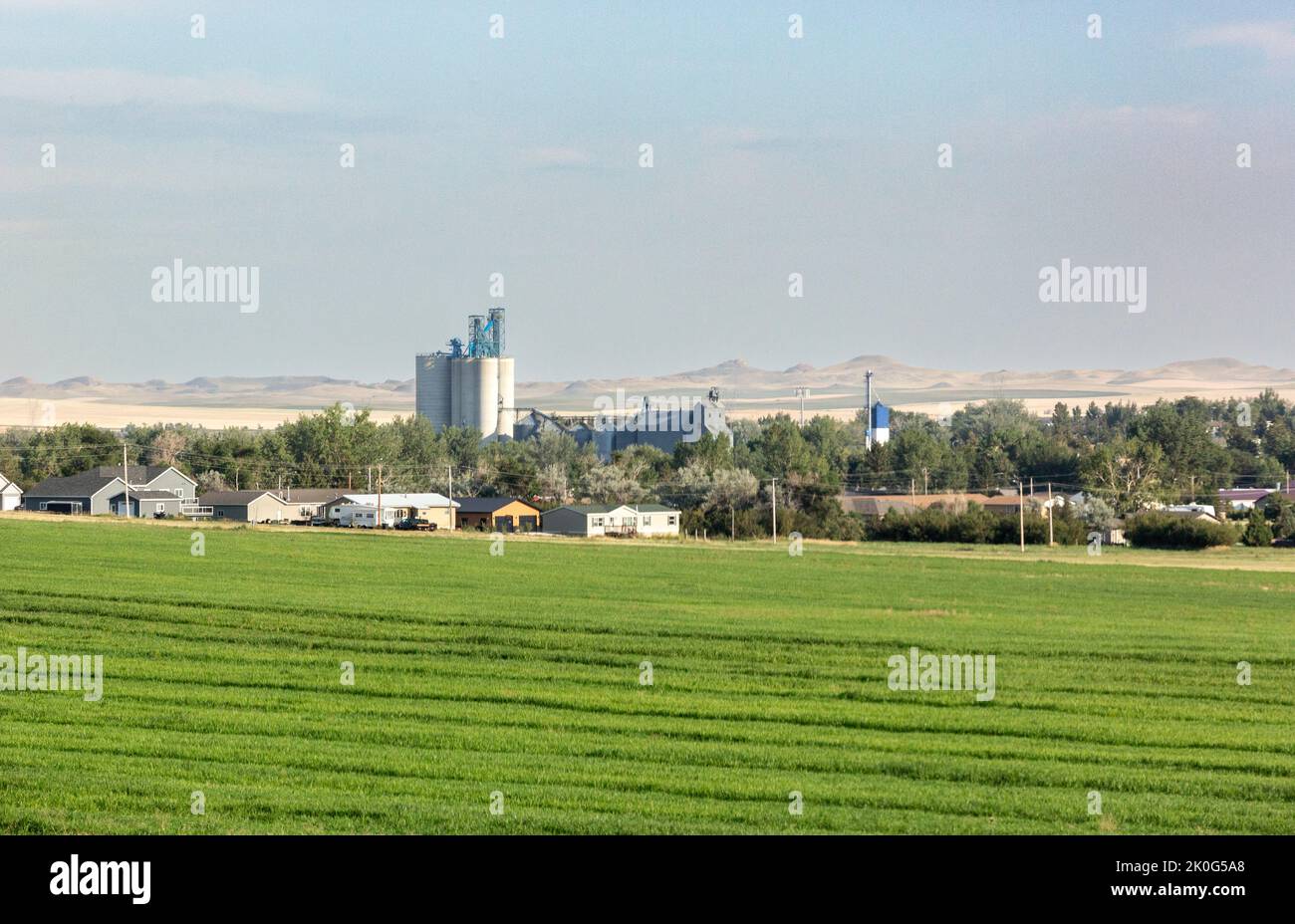 Town scene with a fresh cut green alfalfa hay field near the city of Beach, ND in western, North Dakota Stock Photo