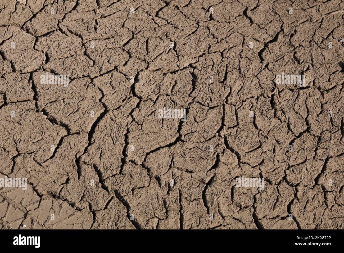 Close-up of cracked and dried mud. Stock Photo