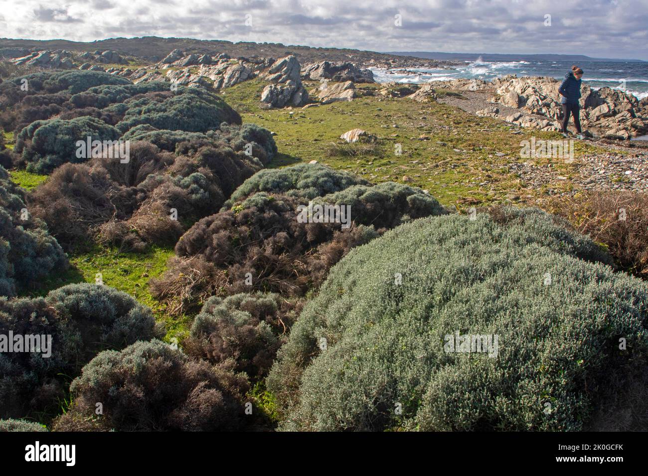 Stokes Point Woman walking along the coast at Stokes Point, King Island Stock Photo ...