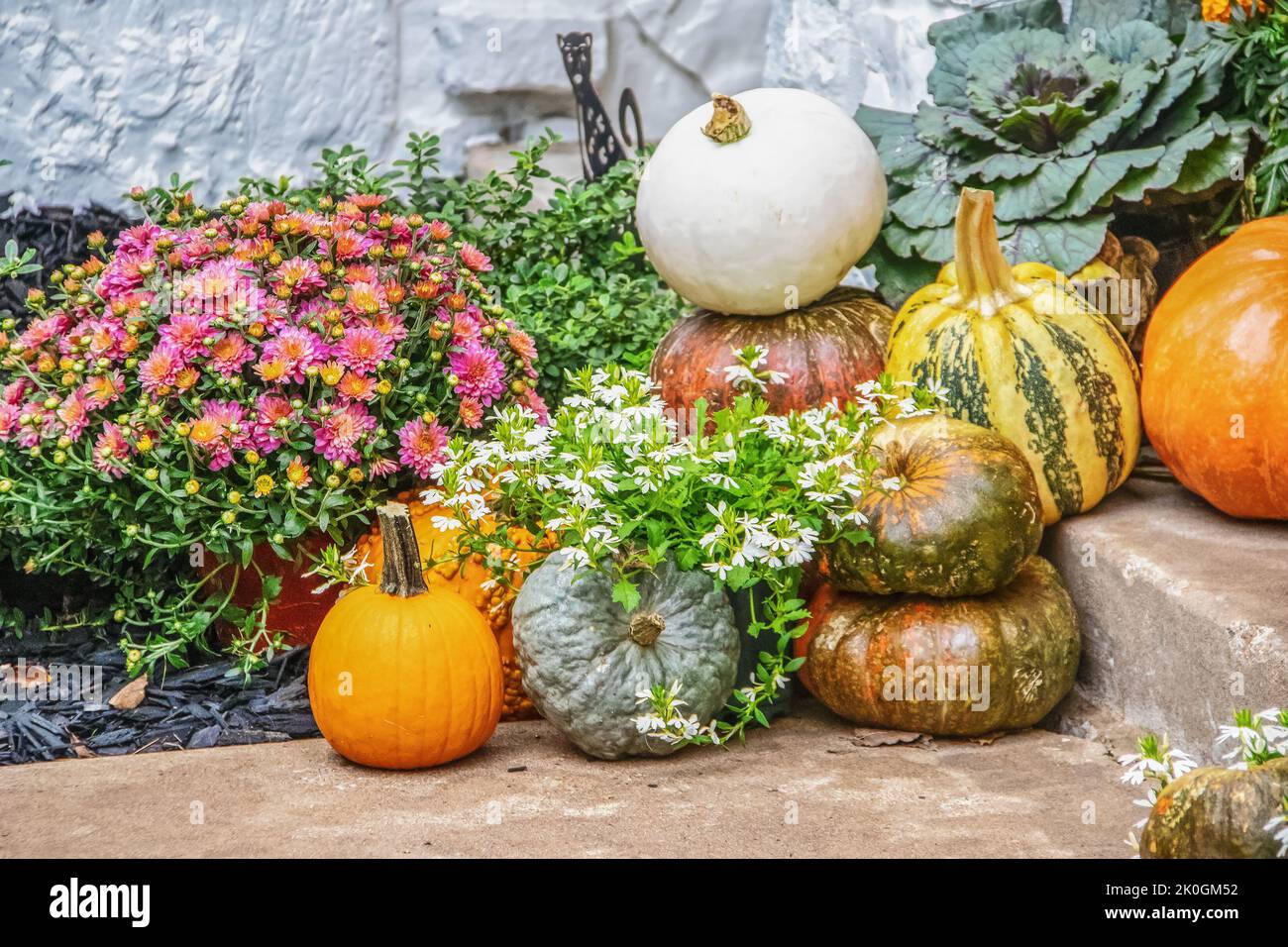 Autumn outdoor pumpkin and flower arrangement on steps - selective focus Stock Photo