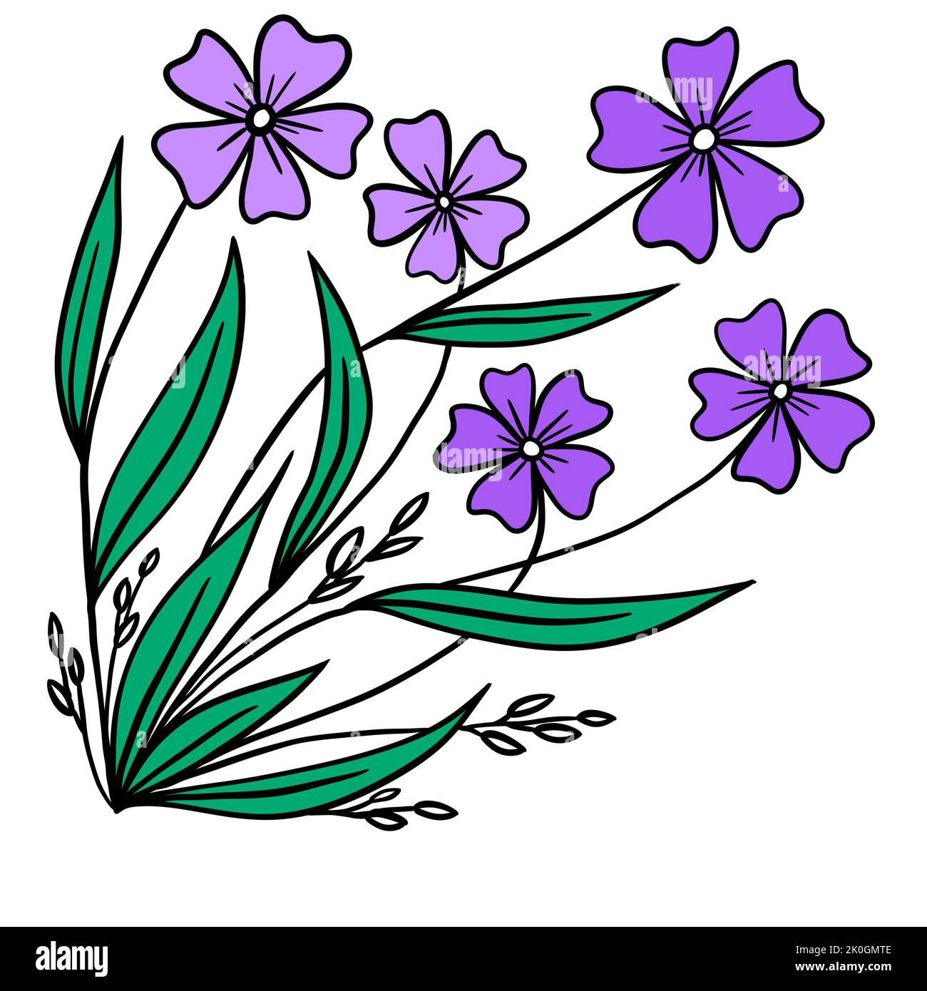 Hand drawn floral bouquet with purple flowers green leaves, corner composition. Garden wild flowers periwinkle, elegant simple minimalist design, sketch bloom plant herb, outdoor nature Stock Photo