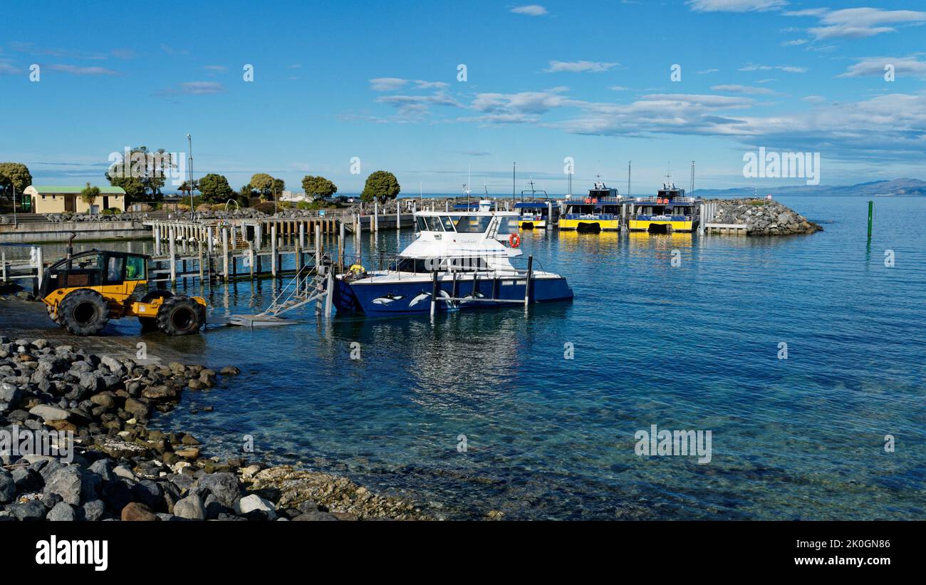 Kaikoura, Kaikoura District / Aotearoa / New Zealand 19 August, 2022