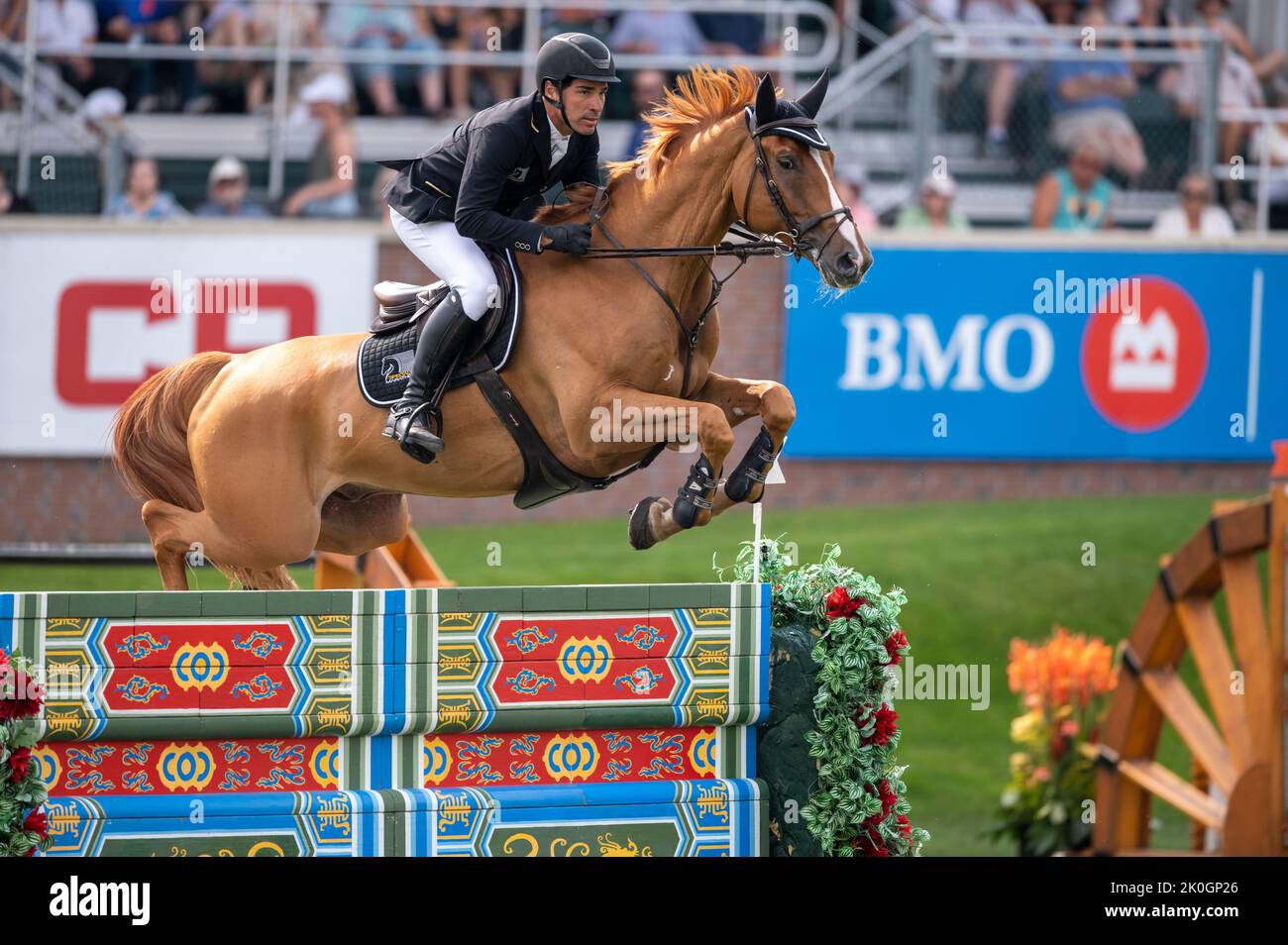 Calgary, Alberta, Canada, 11 September 2022. Francisco José Mesquita ...