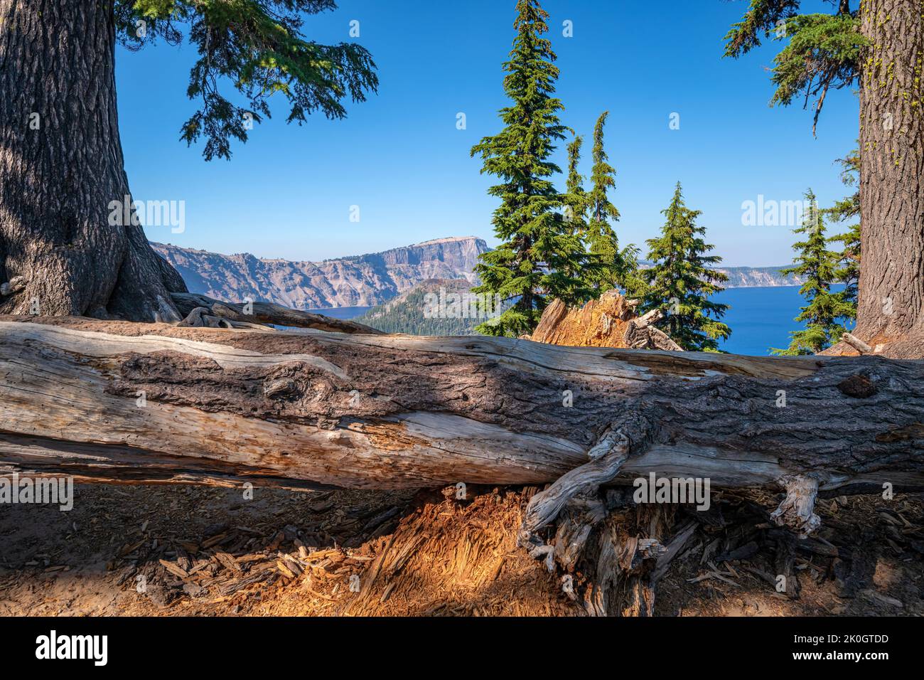 Crater Lake and surrounding nature Oregon state. Stock Photo
