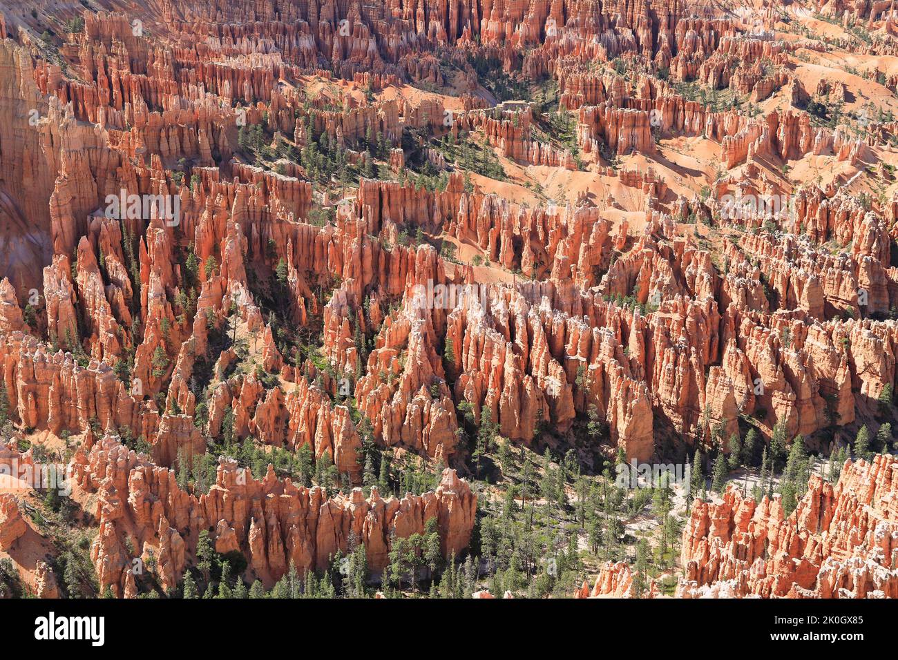 Aerial view of Bryce Canyon National Park, Utah, USA Stock Photo