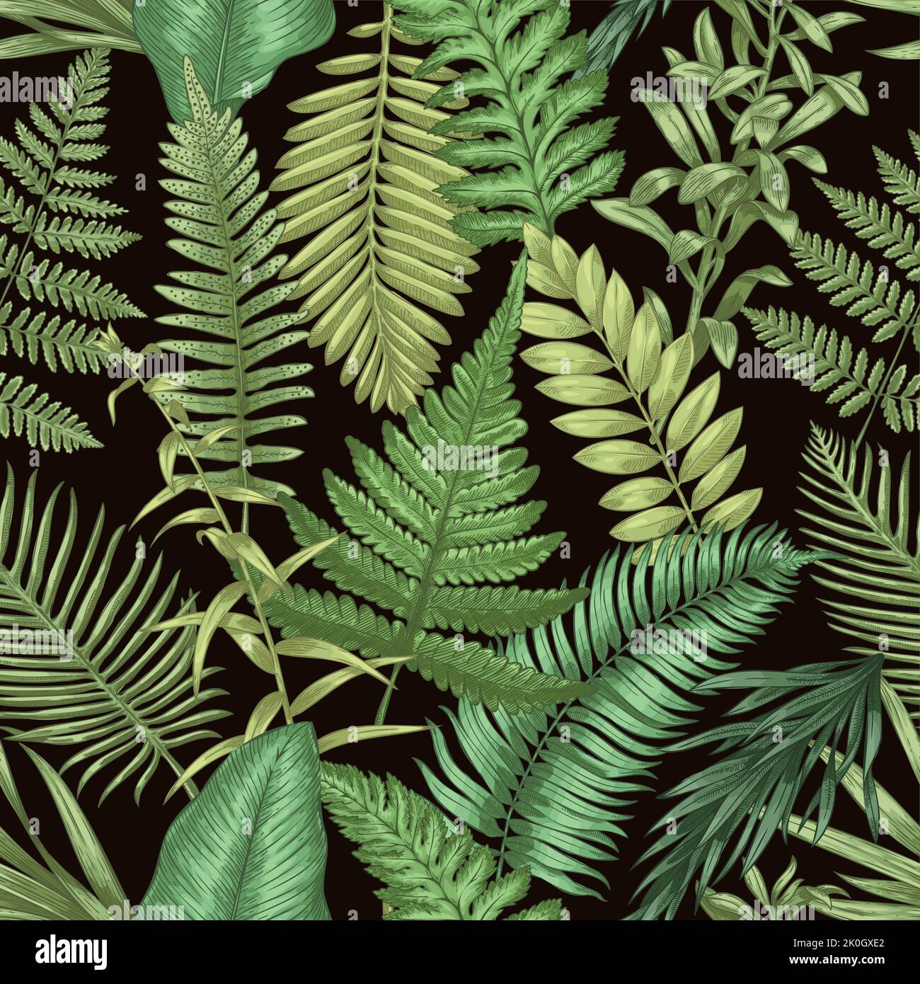 Fern pattern. Seamless print of wild forest plants, hand drawn herbal decorative elements. Vector botanical texture and rural wallpaper Stock Vector