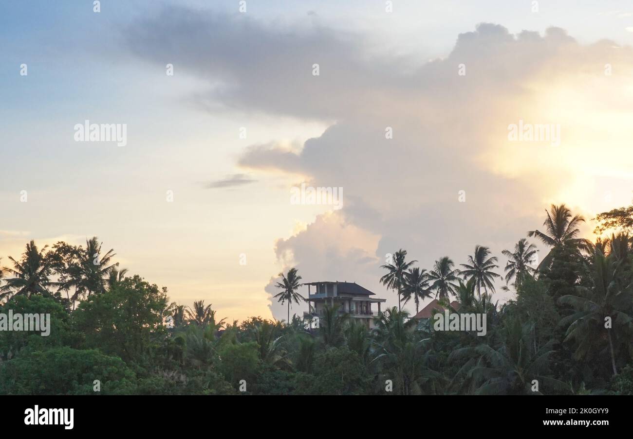 Beautiful Morning Walk at Campuhan Ridge Walk Ubud bali Indonesia. Stock Photo