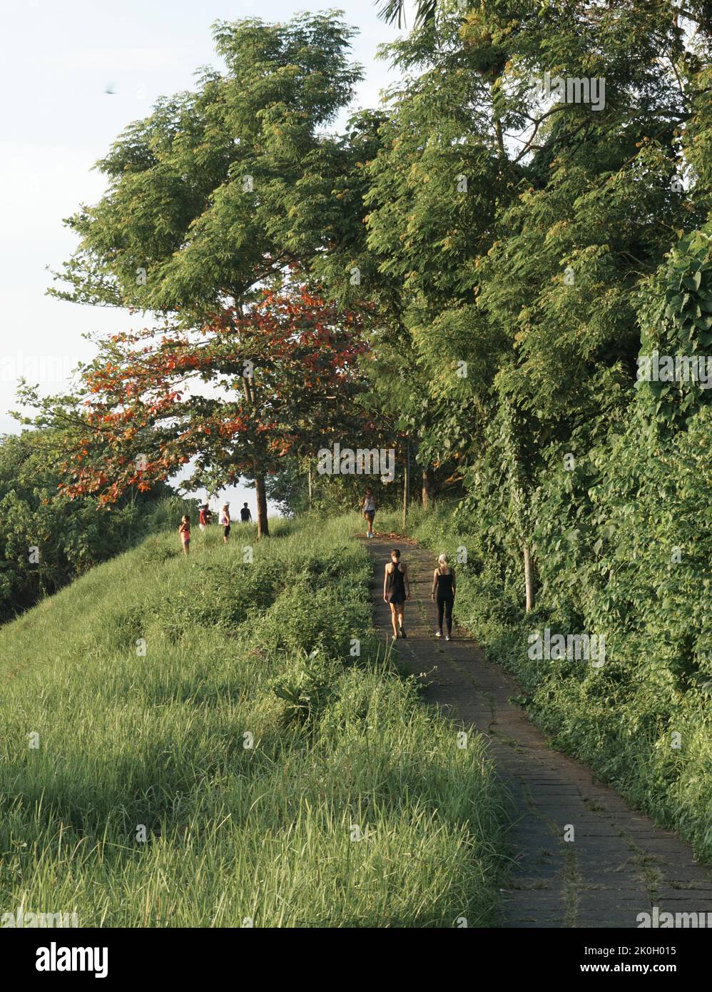 Women walk in the morning at Campuhan ridge walk in Ubud, Bali ...