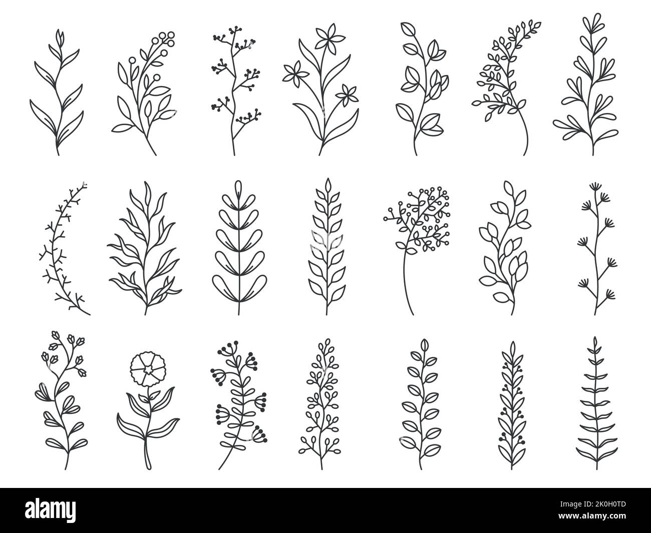 Herbal art. Doodle botanical decorative elements for tattoo, invitation and greeting cards, line sketch of forest branches. Vector minimal hand drawn Stock Vector