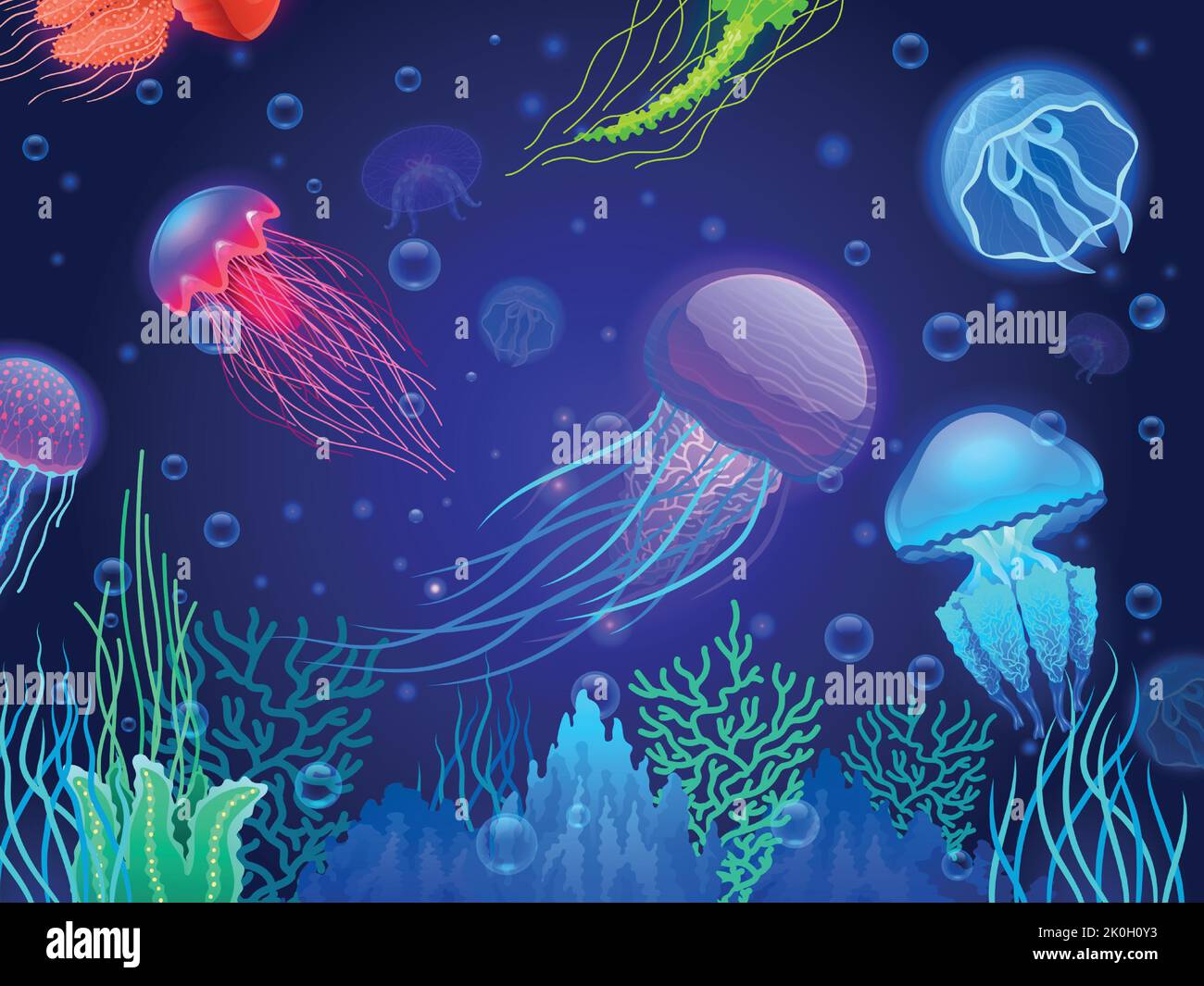 Jellyfish background. Cartoon colorful transparent glowing underwater creatures floating together. Vector colorful poison sea jellyfish animals Stock Vector