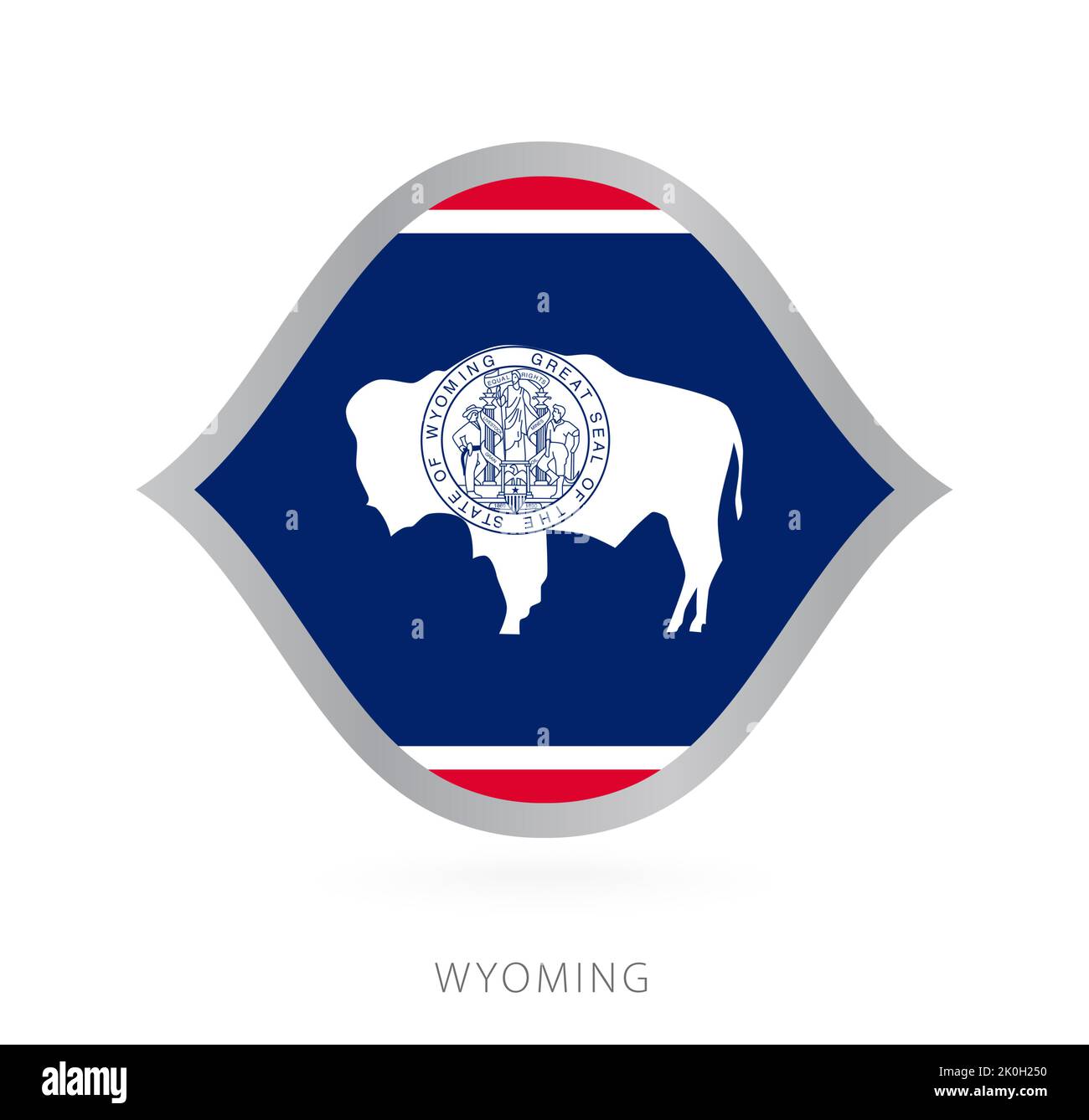 Wyoming national team flag in style for international basketball ...