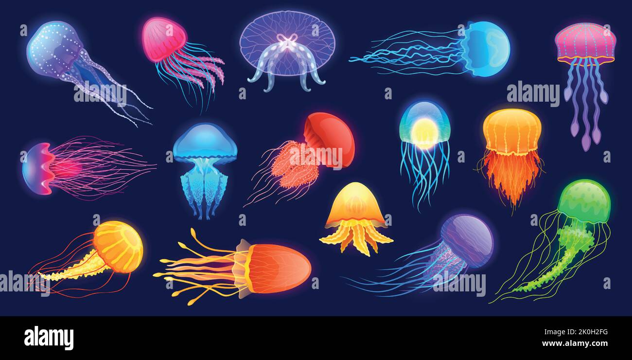 Glowing jellyfish. Cartoon underwater exotic sea animals of different colors and shapes floating in water. Vector cute transparent undersea creatures Stock Vector