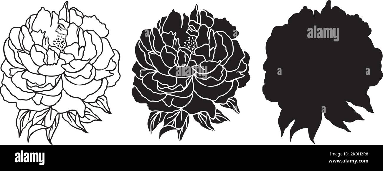 Vector Peonies SVG outline. Hand drawn Peonies Florals Silhouette. One line Peony flowers isolated iilustration. Stock Vector