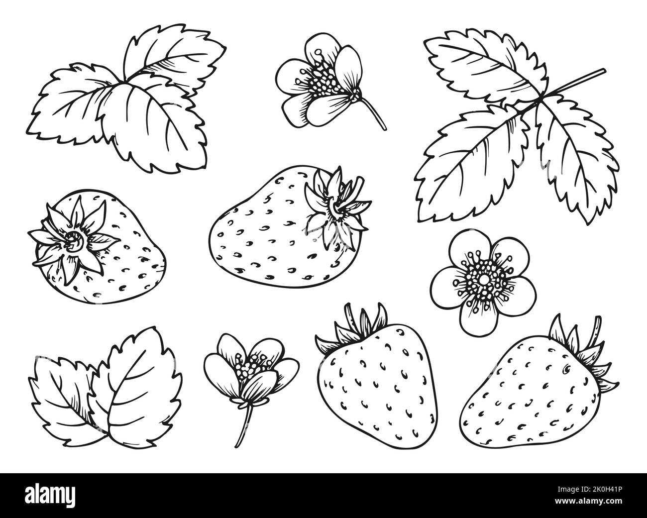 Strawberry floral elements black line set. Hand drawn berries leaves flowers for children and adult coloring book, scrapbooking, nail stamps, laser engraving, foil diy badge pins, eco tag label Stock Vector