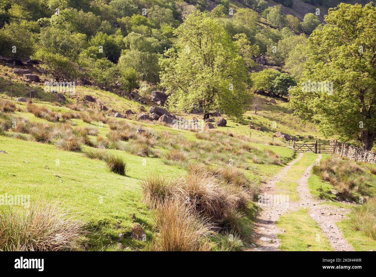 The Allerdale Ramble footpath in Borrowdale, in the English Lake District Stock Photo