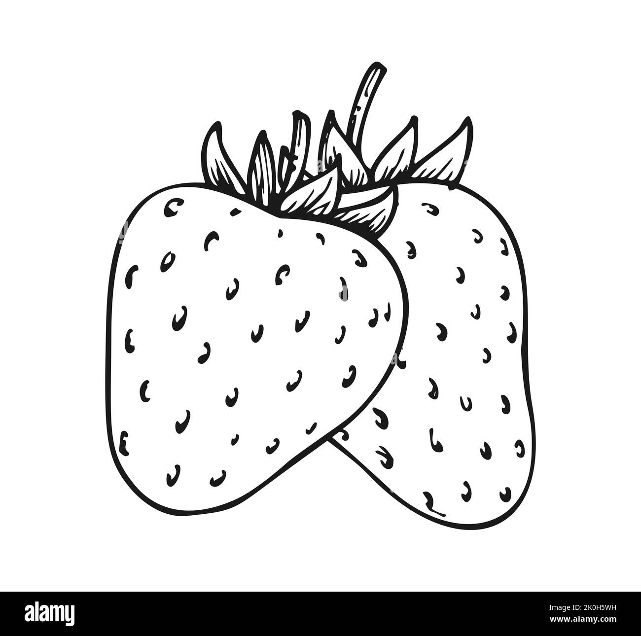 Strawberry group of two berries. Children and adults coloring book page. Whole ripe wild forest berry. Tasty sweet farm fresh organic fruit. Juicy strawberries handdrawn clip art black white sketch Stock Vector