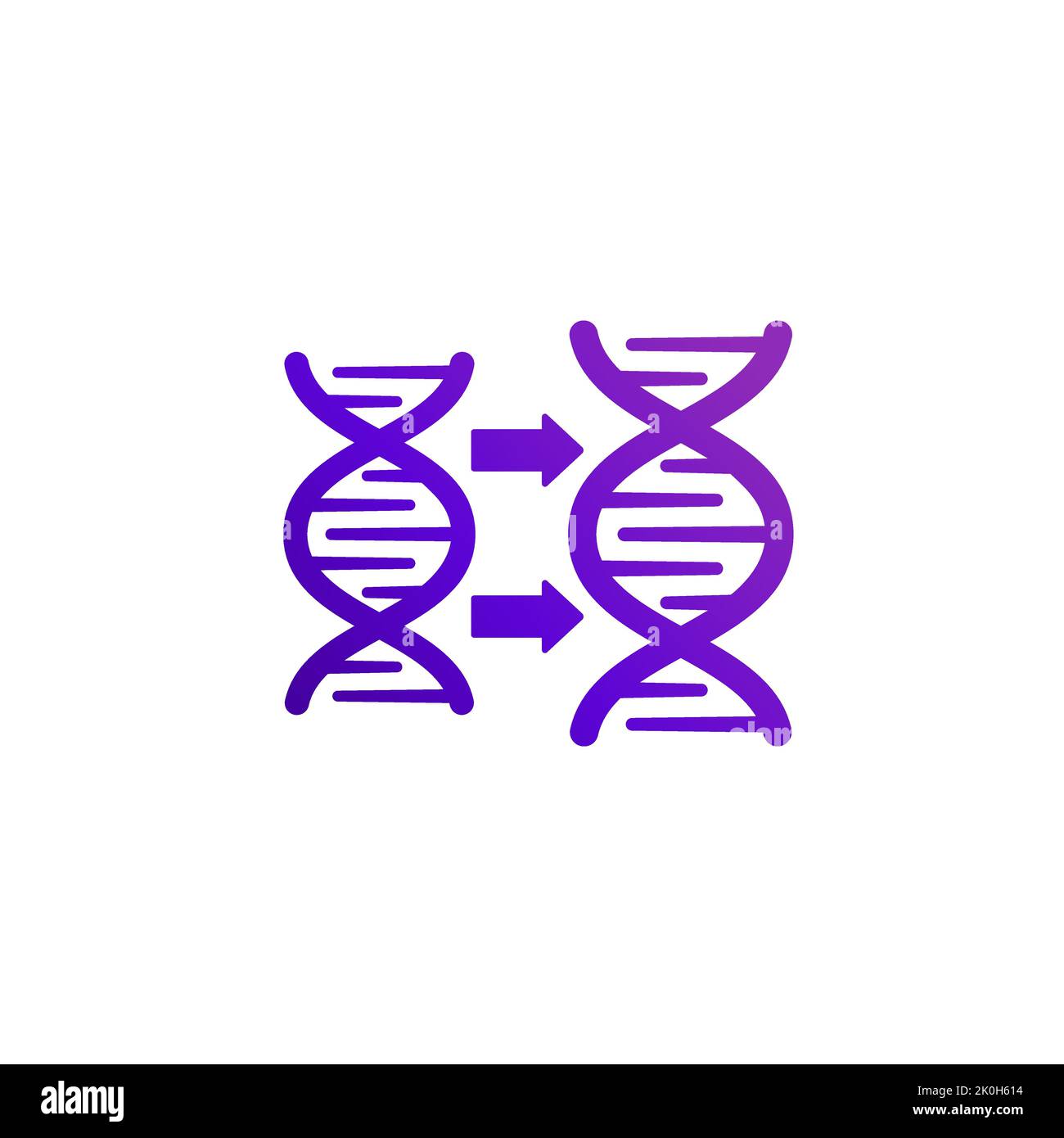 DNA replication icon on white Stock Vector
