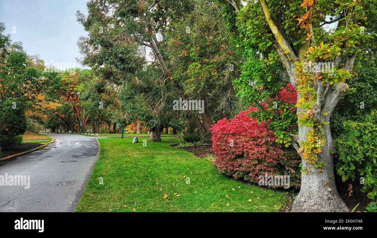 A fresh scenery of a colorful public park with trees and bushes Stock ...