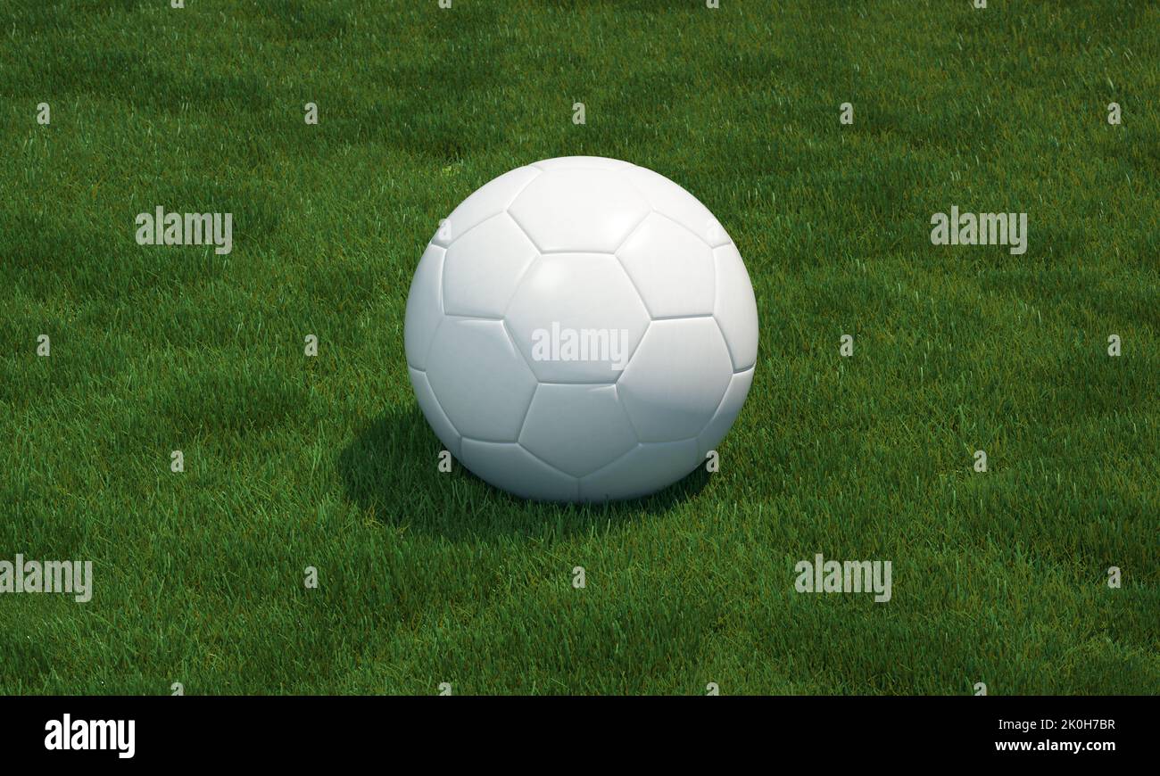 Grass soccer field with white soccer ball. Stock Photo