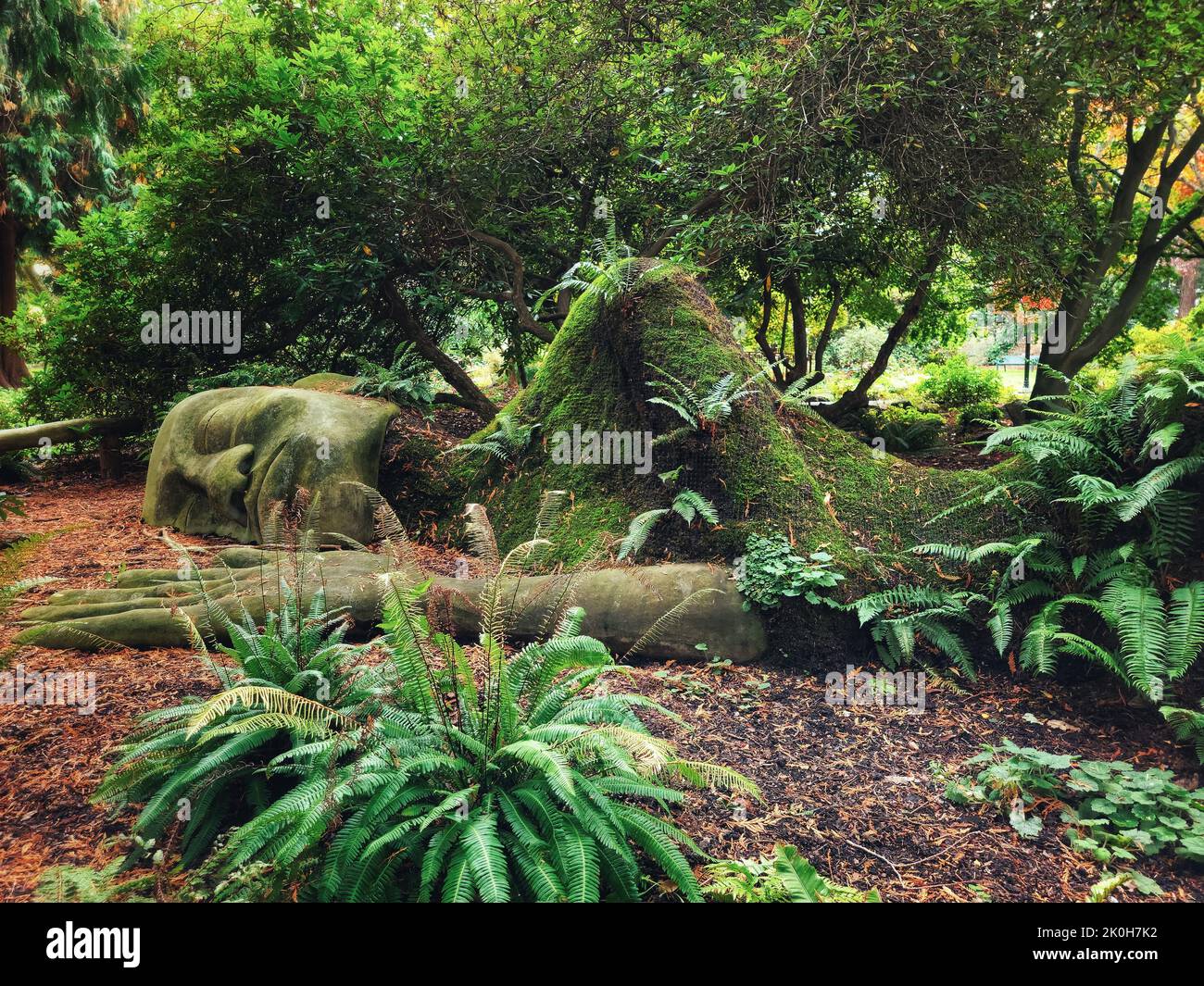 Man sleeping in the forest hi-res stock photography and images - Alamy