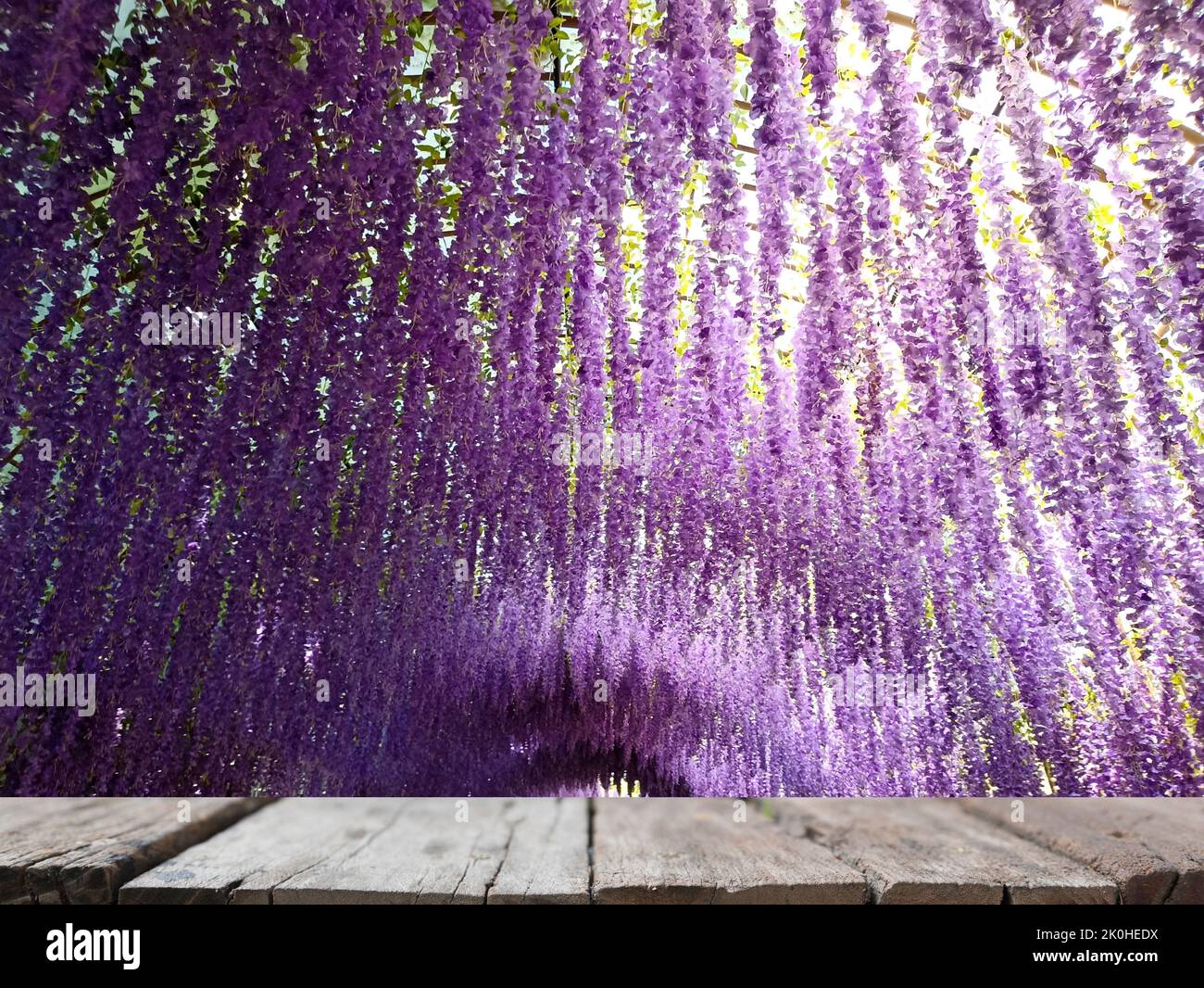 blurry hanging purple flower tunnel with wooden table for display product Stock Photo