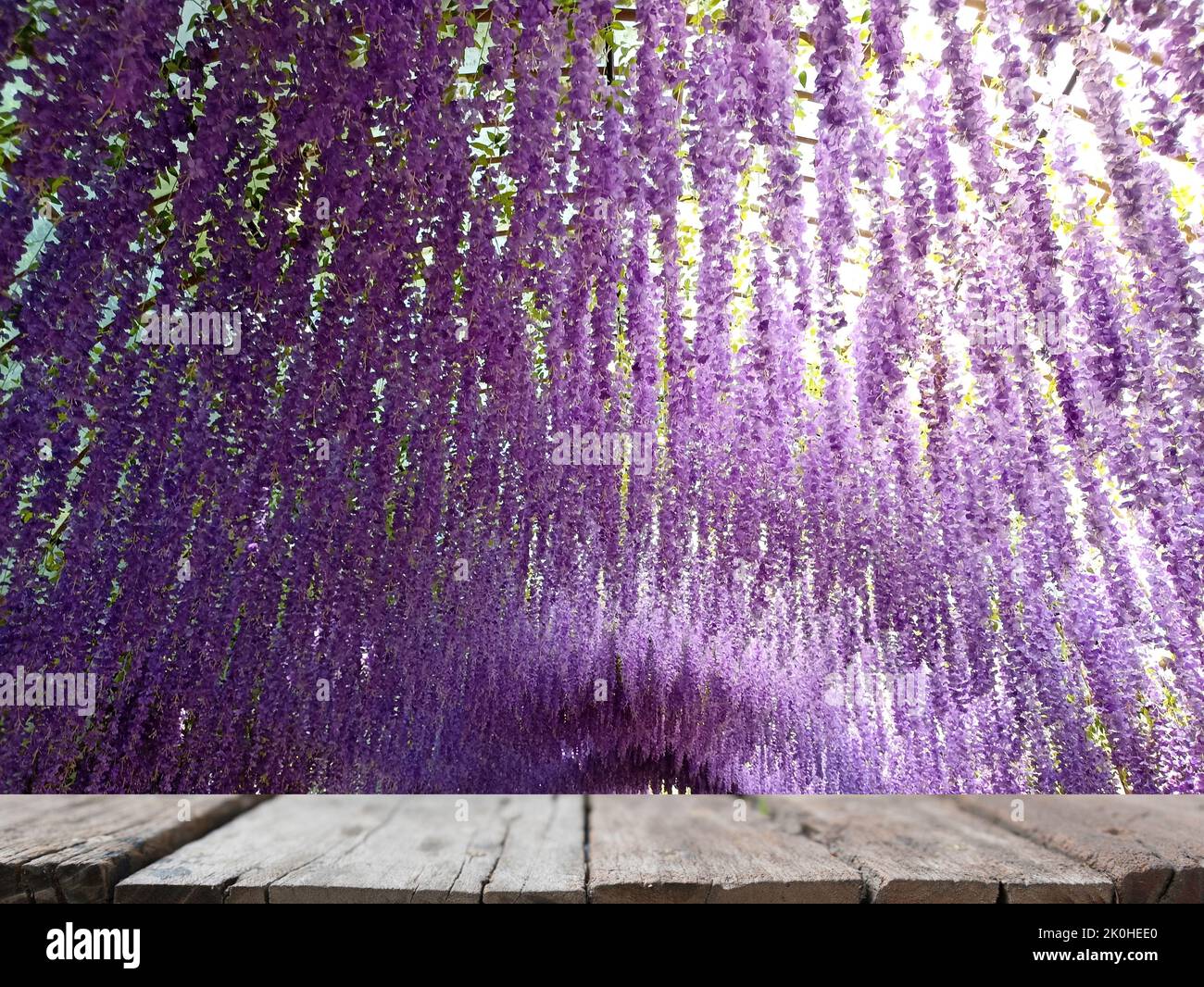 blurry hanging purple flower tunnel with wooden table for display product Stock Photo