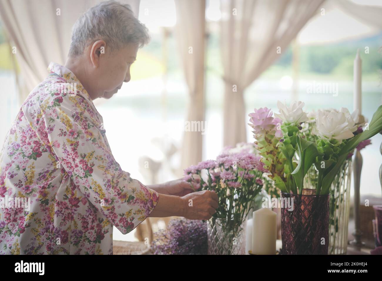 siam tulip with old woman decorate flower bouquet in glass vase on dining table Stock Photo
