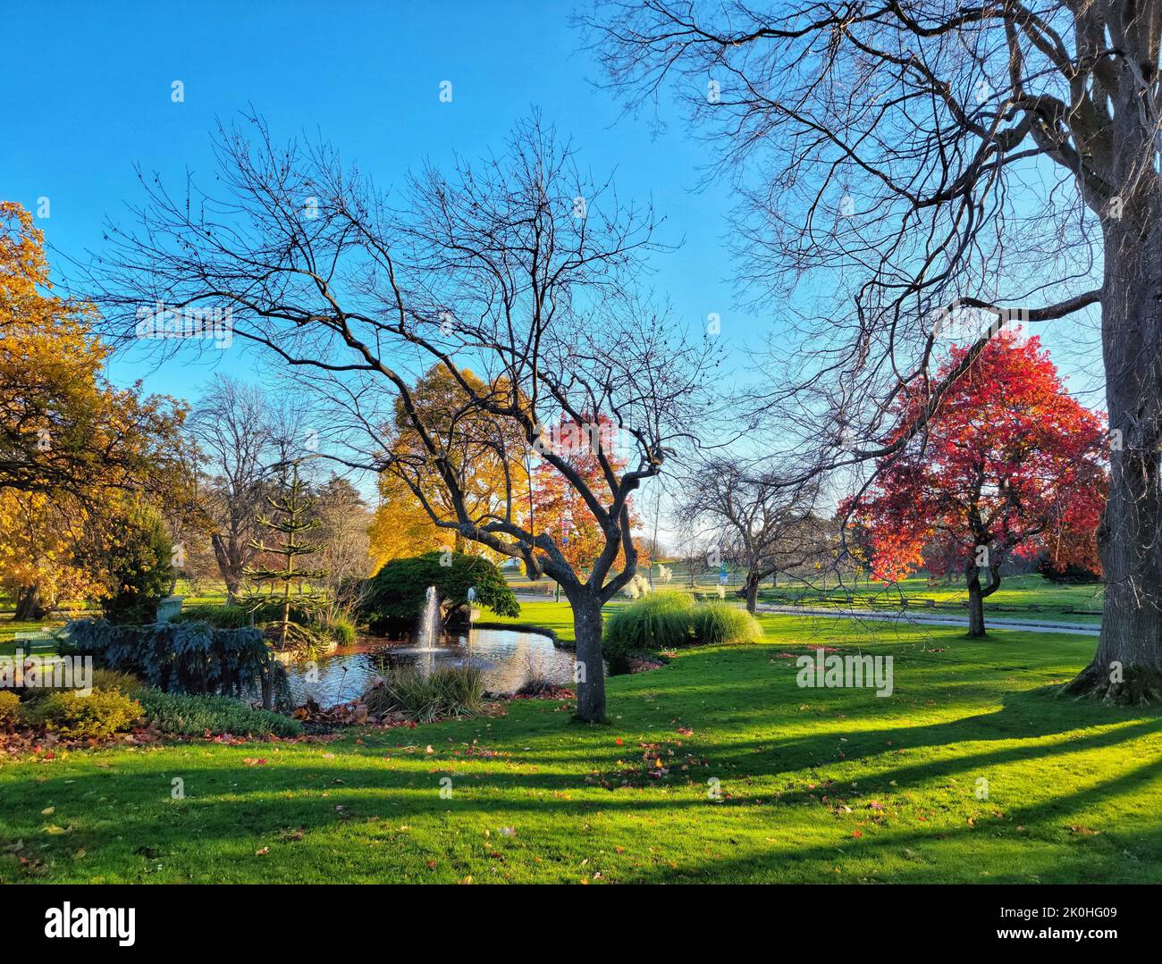 Maple lake park hi-res stock photography and images - Alamy