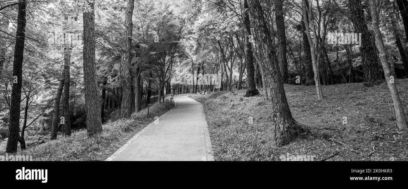 Panoramic view of park Black and White Stock Photos & Images - Alamy