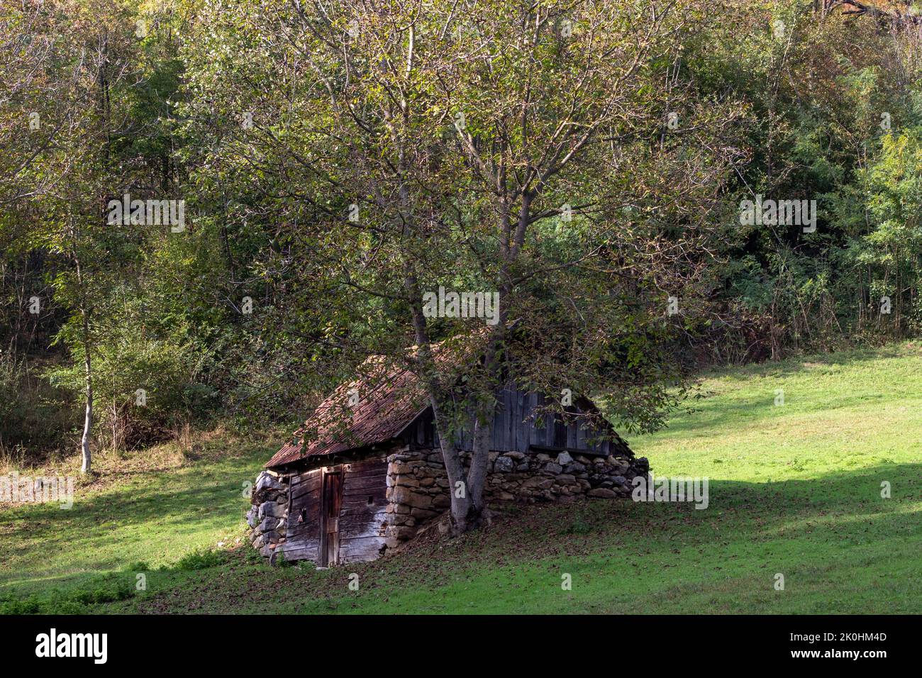 A mountain hut with a walnut tree beside it Stock Photo