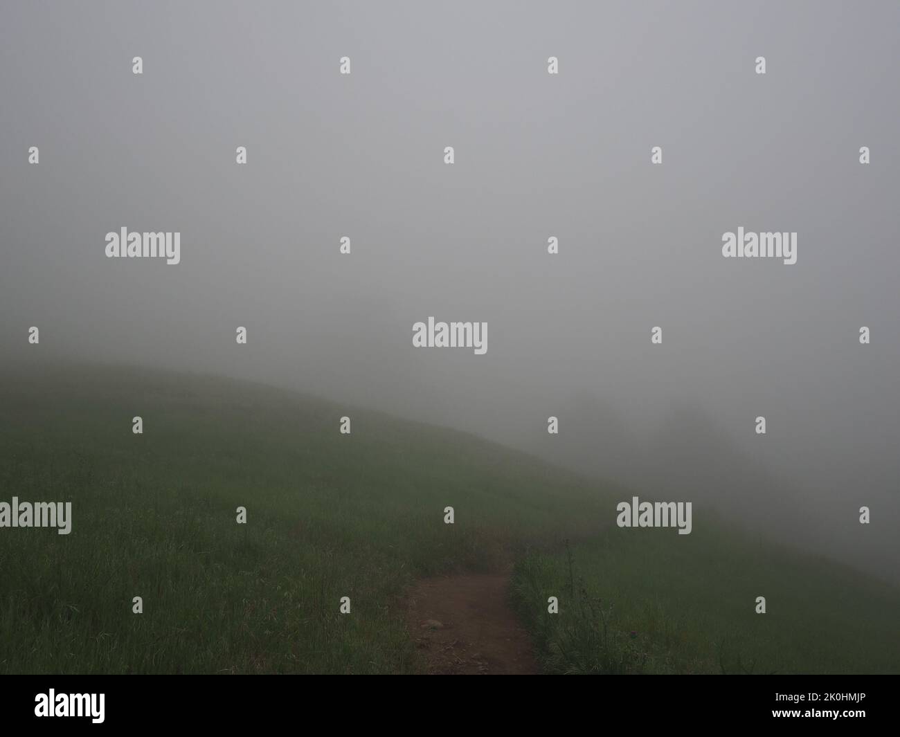 A beautiful view of a foggy forest with a hill Stock Photo - Alamy