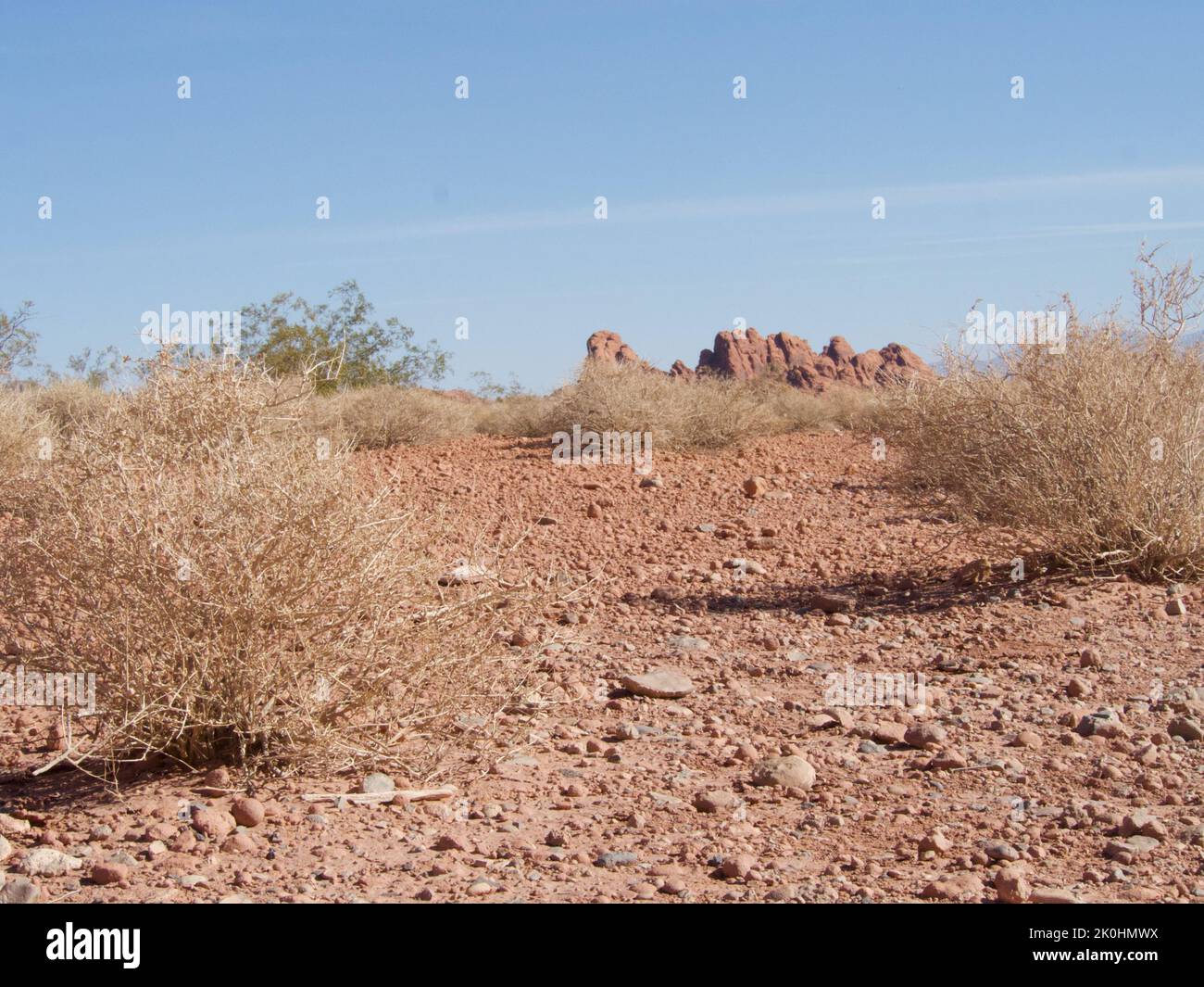 A beautiful view of a desert with rocks under the clear sky Stock Photo ...