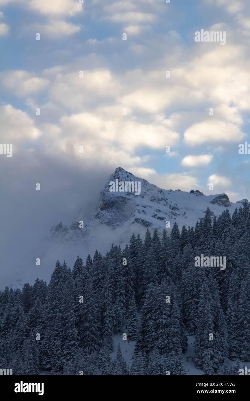 a vertical shot of a snowy mountain with snow covered trees on a foggy ...