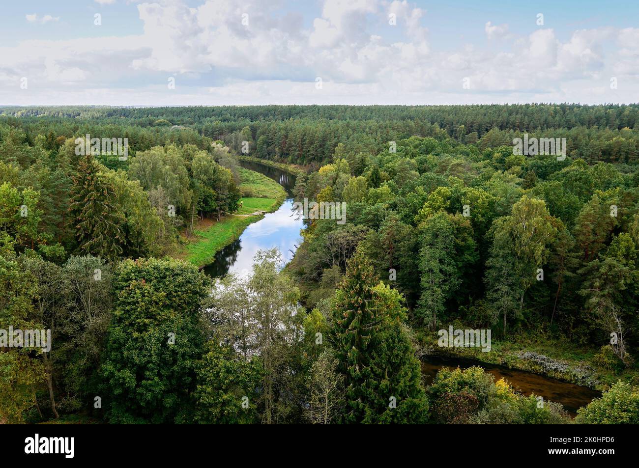 An aerial view of a river in the middle of the forest Stock Photo - Alamy