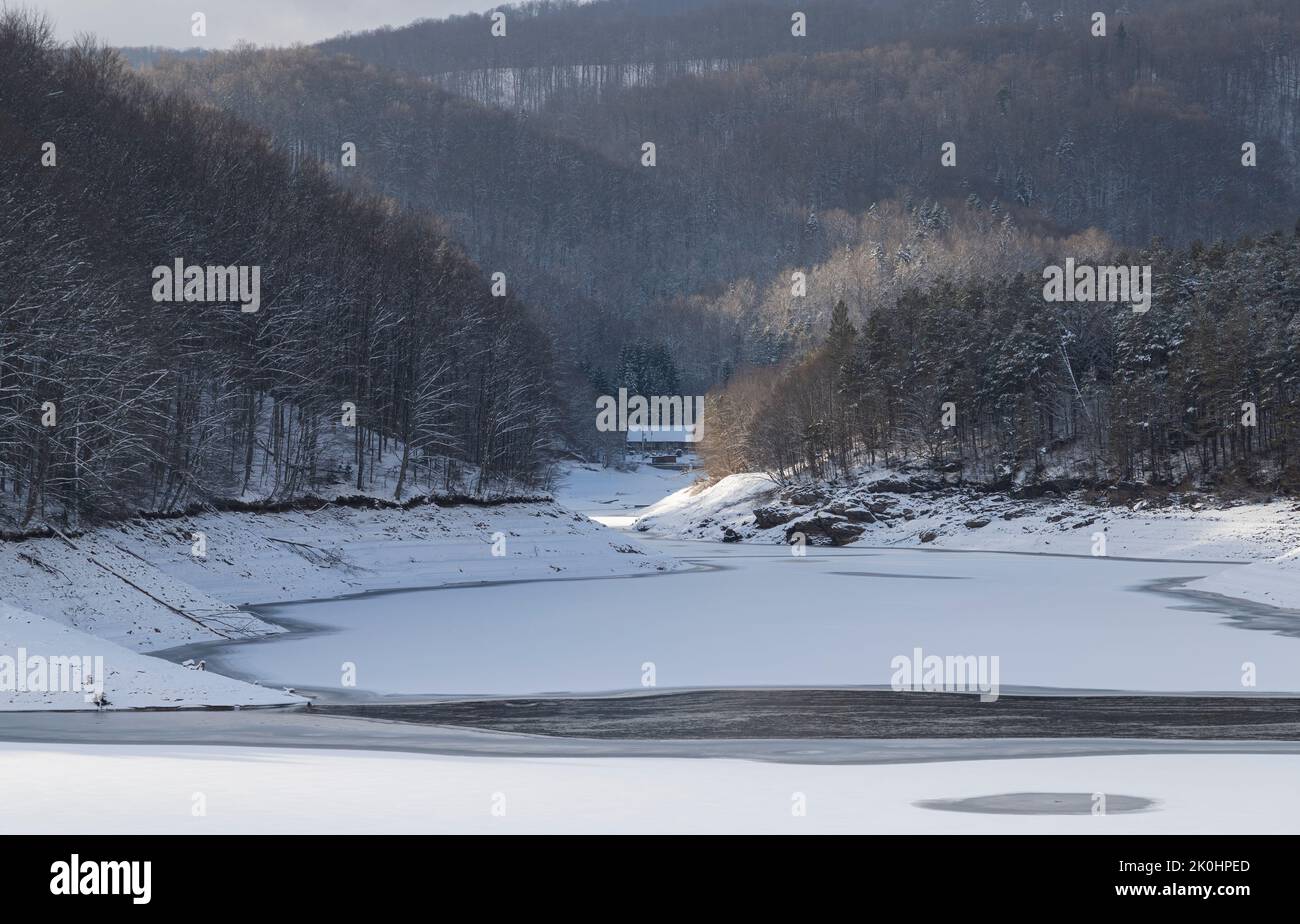 A frozen lake surrounded by deciduous forest trees on a snowy da Stock ...