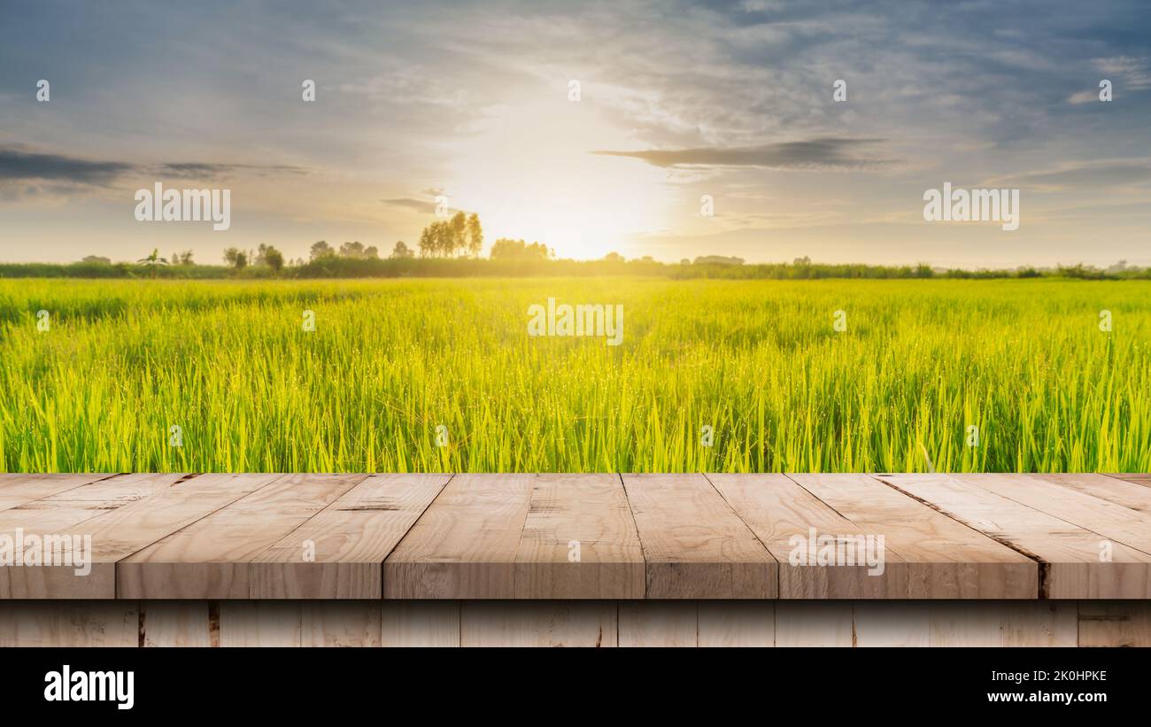 Wood table and rice field and sunrise blue sky with lens flare, display montage for product. Stock Photo