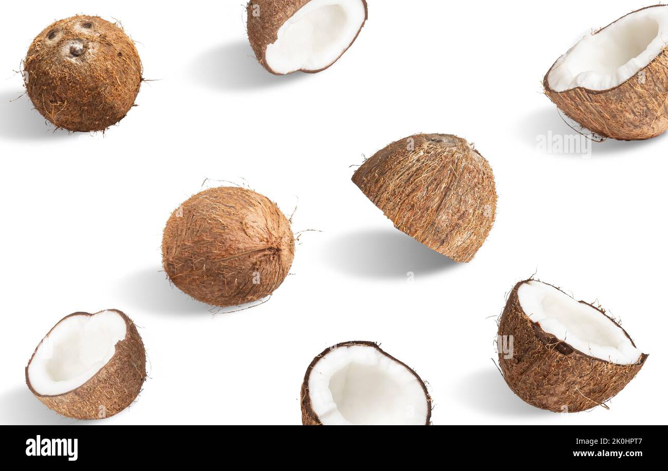 A 3D rendering of coconuts isolated on a white background Stock Photo ...