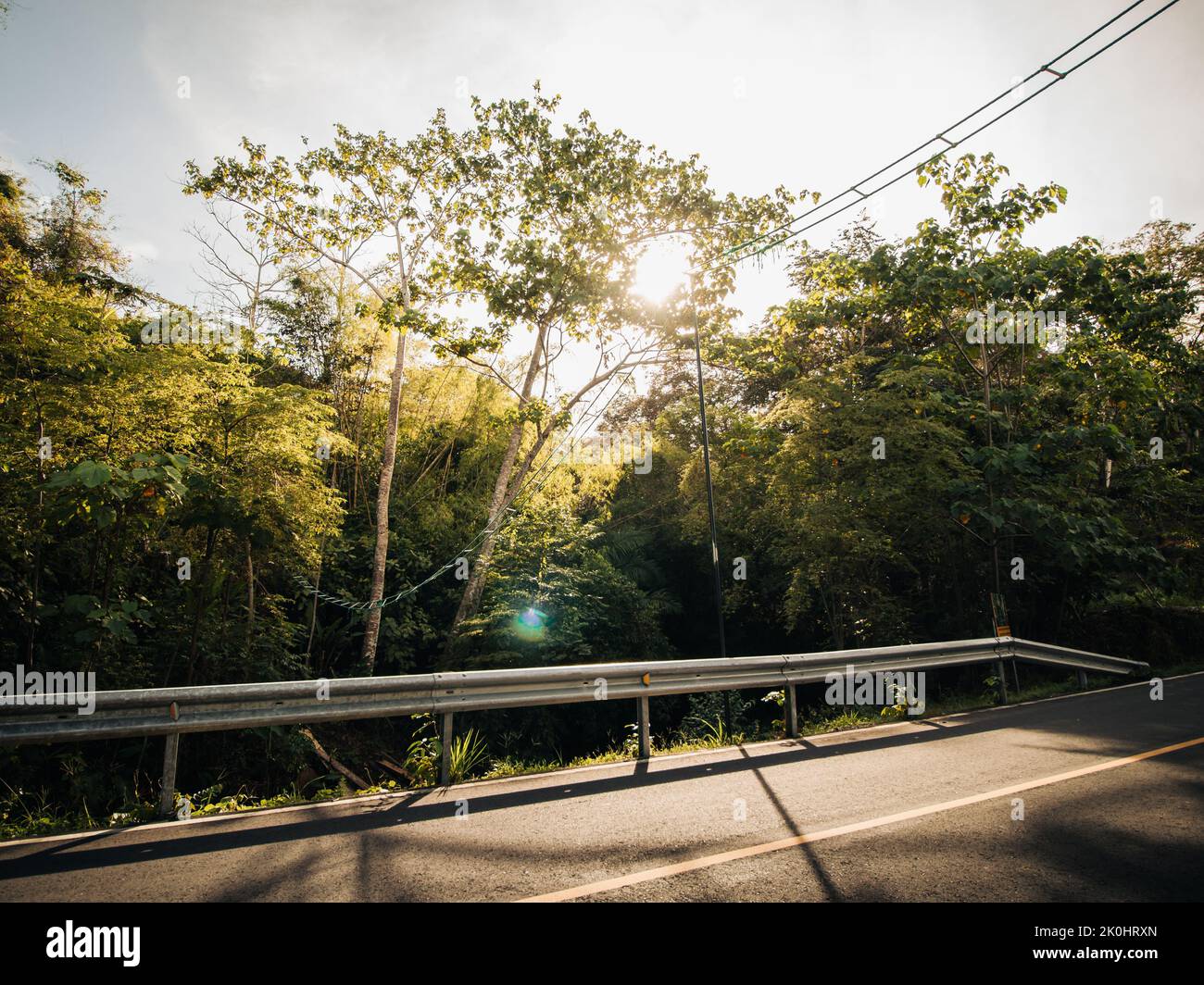 An asphalt road in a green forest under the sun rays Stock Photo - Alamy
