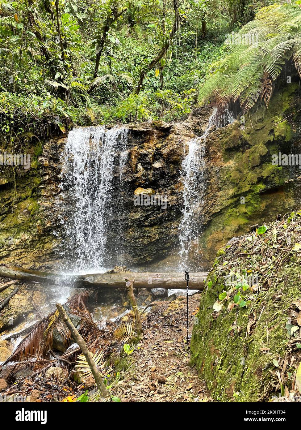 A beautiful landscape of a waterfall in a forest Stock Photo - Alamy