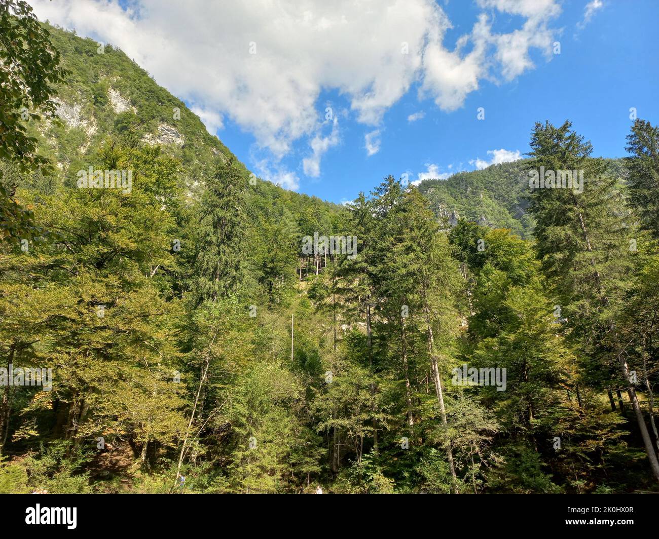 A scenic view of green mountain forests under the clear sky Stock Photo ...