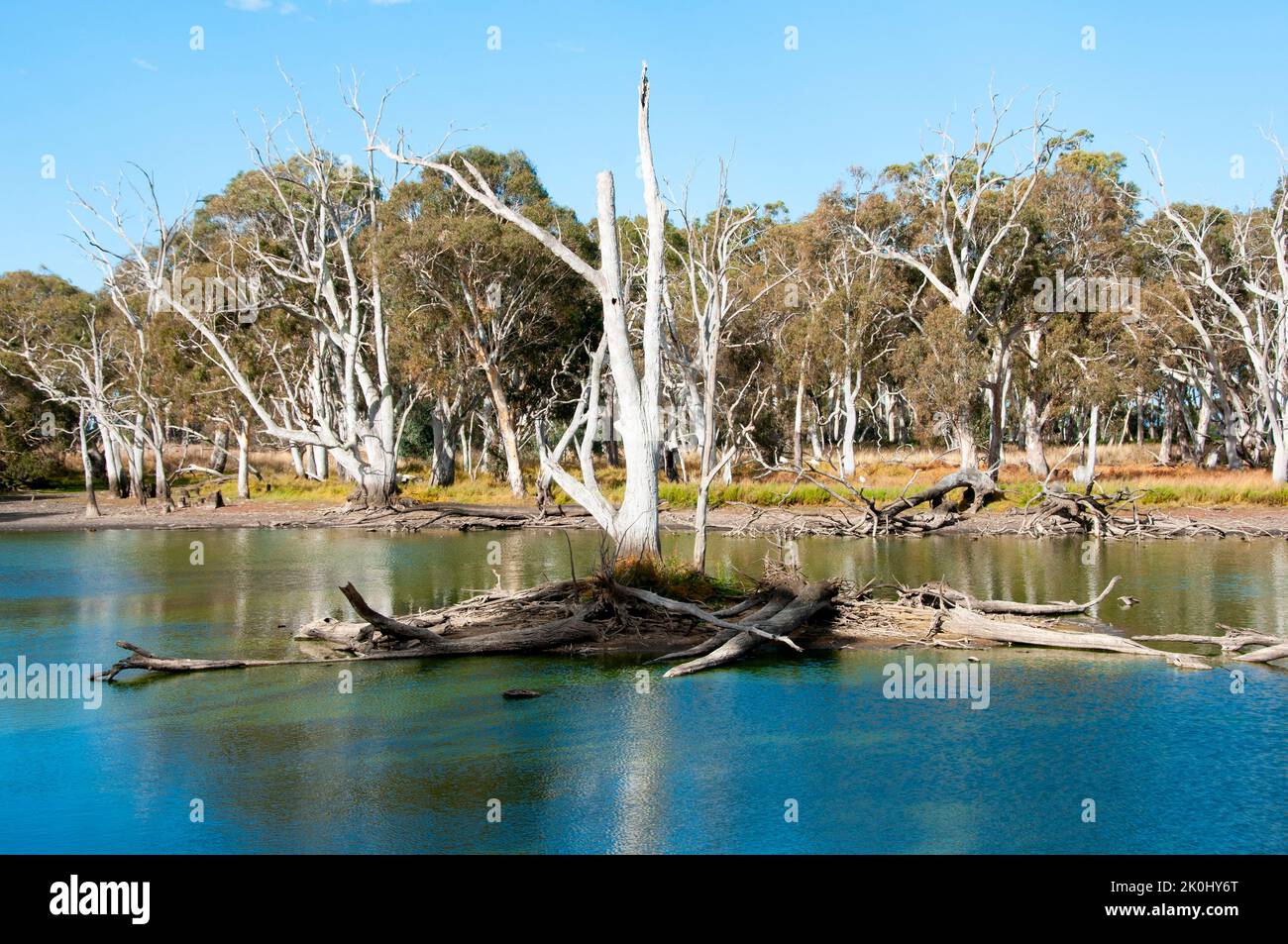Duck Lagoon - Kangaroo Island - Australia Stock Photo