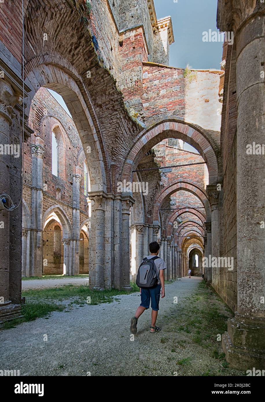 Side nave of the abbey of San Galgano, Chiusdino, Siena, Tuscany; Italy, Europe Stock Photo