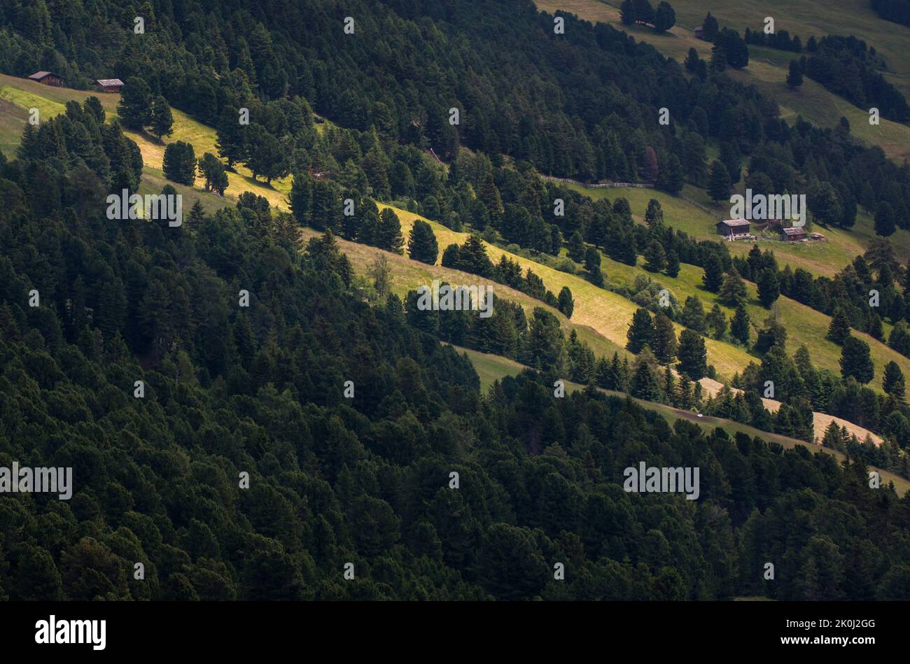 Farms and barns in the clearings at the edge of the forest, on the lower slope of the path that climbs towards the Klausner Hütte refuge, Valle di Isa Stock Photo