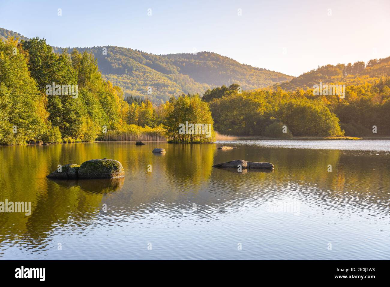 Autumn beech forest reflecter in the water Stock Photo